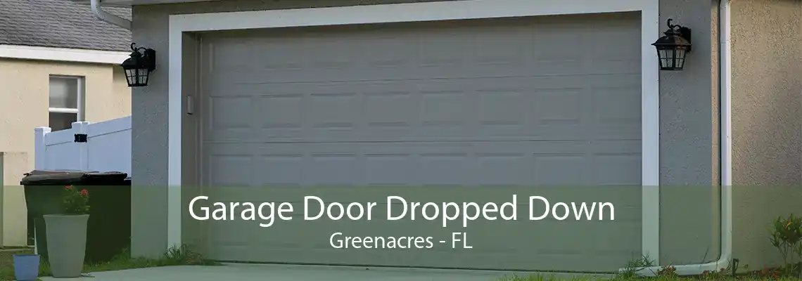 Garage Door Dropped Down Greenacres - FL