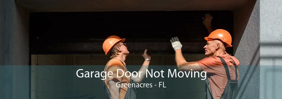 Garage Door Not Moving Greenacres - FL