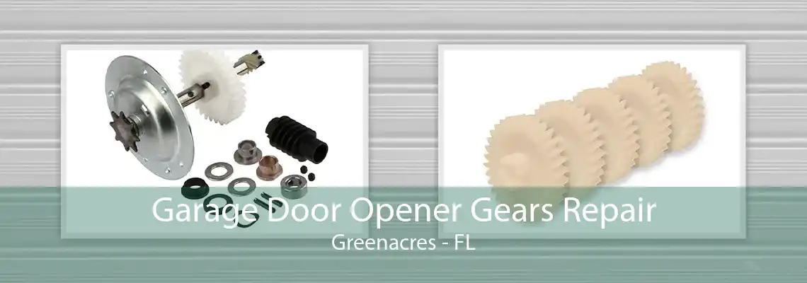 Garage Door Opener Gears Repair Greenacres - FL